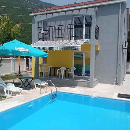 הוילה הרצג-נובי House With Pool - Mitrovic מראה חיצוני תמונה